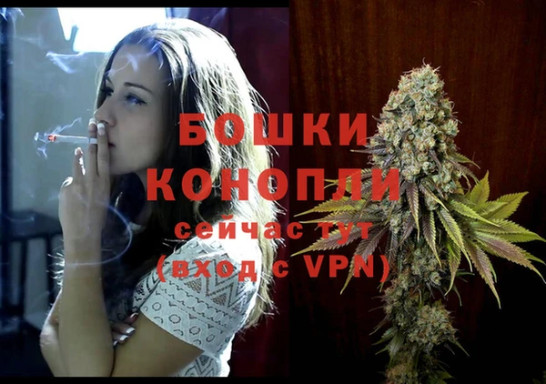 эйфоретик Каменка
