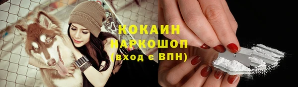 эйфоретик Каменка