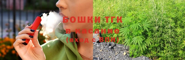 эйфоретик Каменка