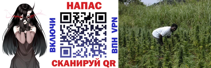 Бошки Шишки сатива  Купить  Норильск 